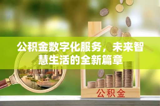 沧源公积金数字化服务，未来智慧生活的全新篇章