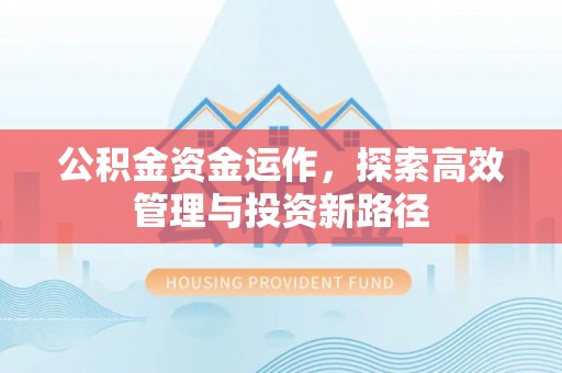 沧源公积金资金运作，探索高效管理与投资新路径