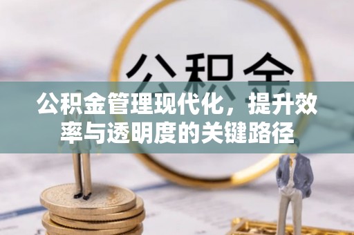 沧源公积金管理现代化，提升效率与透明度的关键路径