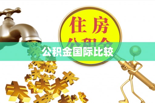 沧源公积金国际比较