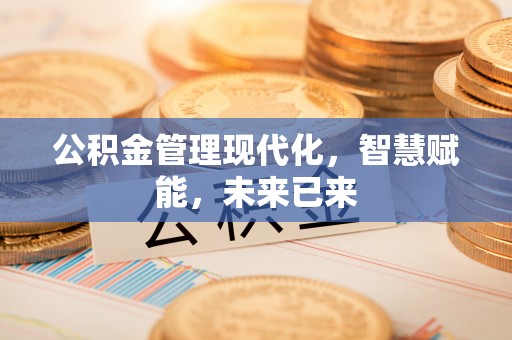 沧源公积金管理现代化，智慧赋能，未来已来