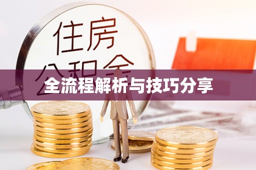 沧源全流程解析与技巧分享